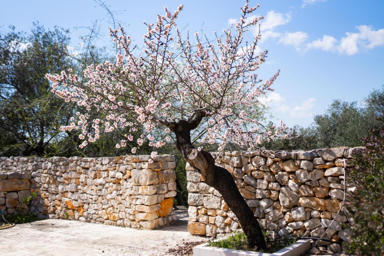 Masseria Montepaolo Dimora Di Charme Conversano Dış mekan fotoğraf